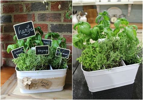 Great Kitchen Herb Garden Ideas