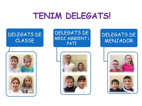 Els Delegats De Curs