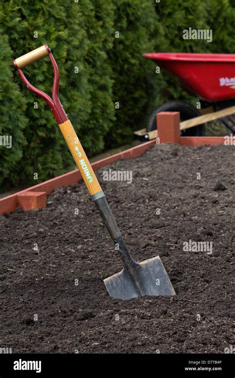 A Spade In The Soil In Ground Raised Vegetable Bed With Spade In The