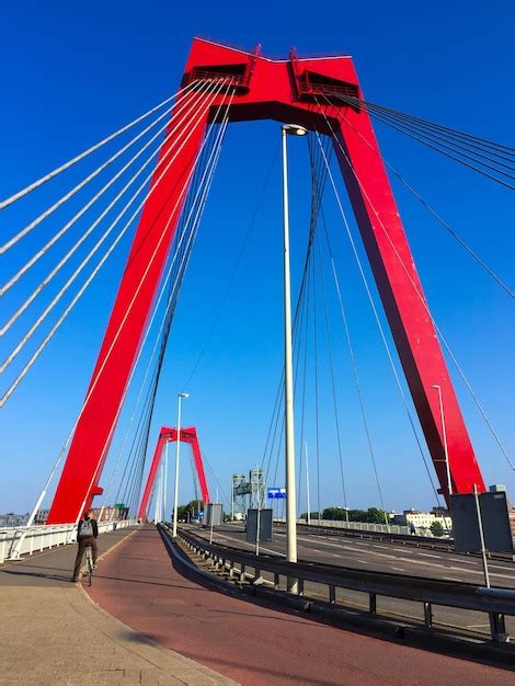 Ciclista Cruzando A Ponte Willemsbrug Que Atravessa O Rio Nieuwe Maas