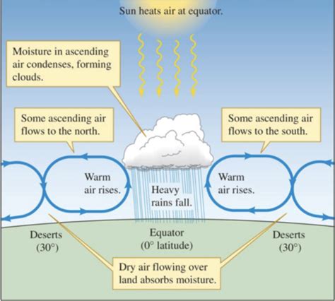 Unit 1 Ecology Flashcards Quizlet