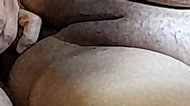 Naughty In Law Pt 9 Home Visit Doc Rough Anal Sex Patient XNXX