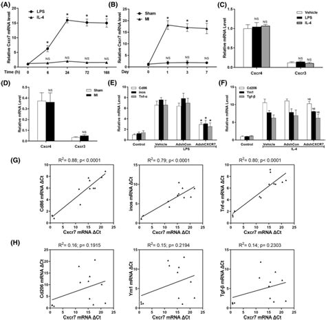 Relation Of Cxcr7 With Macrophage M1 Polarization And Post Mi