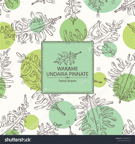 Background Wakame Undaria Pinnate Seaweed Wakame Stock Vector Royalty