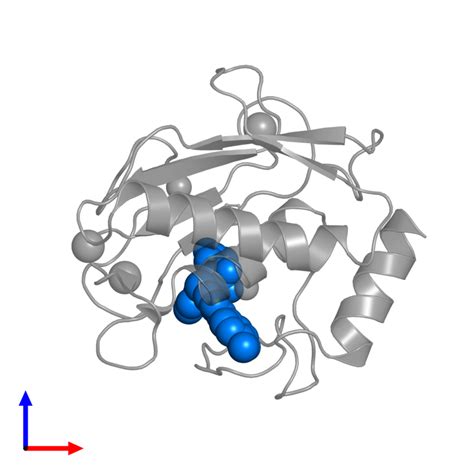 Pdb Esm Gallery Protein Data Bank In Europe Pdbe Embl Ebi