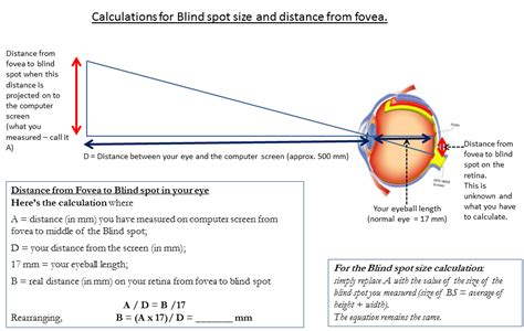 Blind spot - Vision experiments