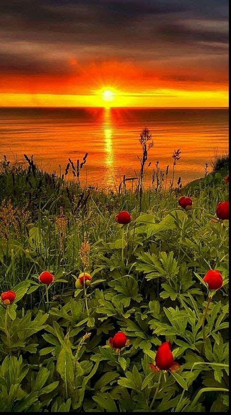 290 Majestic Things Ideas In 2021 Beautiful Nature Scenery Nature