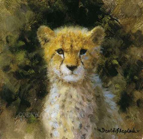 David Shepherd Signed Limited Edition Printscheetah Cub Cameo