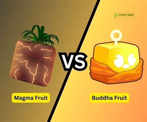 Is Magma Better Than Buddha A Guide For Blox Fruits