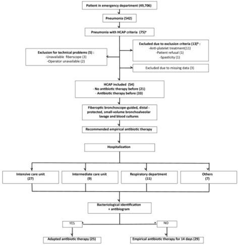 Ehcp Process Flow Chart