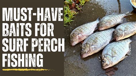 Top Baits For Successful Surf Perch Fishing Surfperch Surffishing