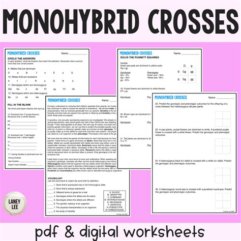 Punnett Square Dihybrid Cross Worksheets