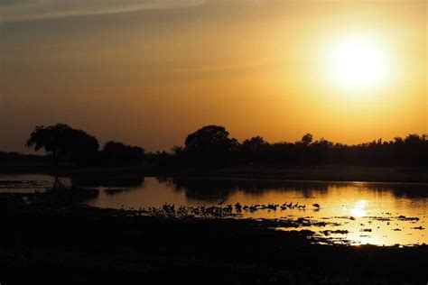 Zakouma National Park in Chad - Safari Experience - Kumakonda