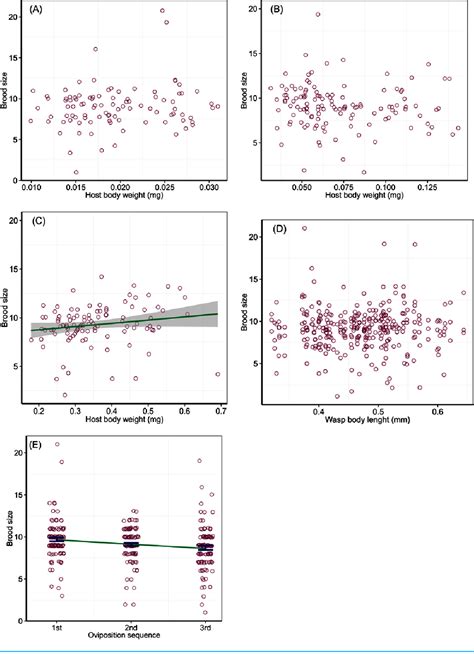 Figure 1 From Brood Size And Sex Ratio In Response To Host Quality And Wasp Traits In The