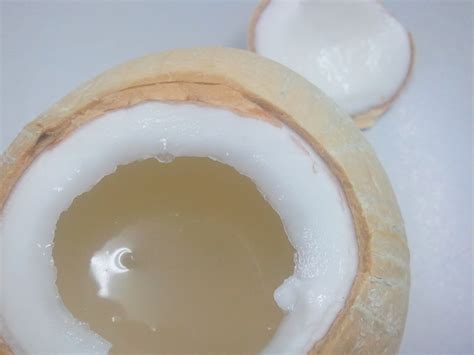 tasty   coconut jelly  jalan dato kramat penang  cooling