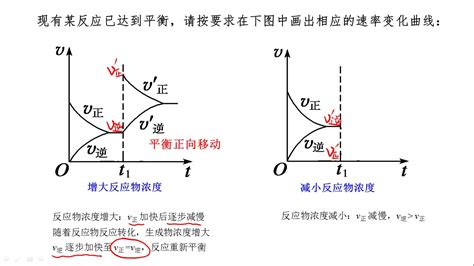 浓度对化学反应速率与平衡的影响_哔哩哔哩_bilibili