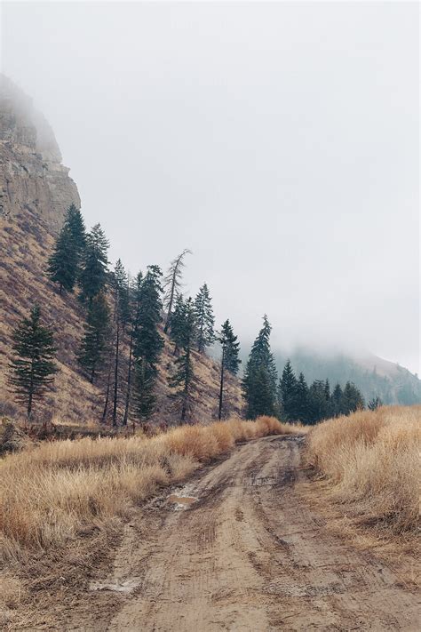 Pipestone Canyon In Washington By Stocksy Contributor Justin Mullet
