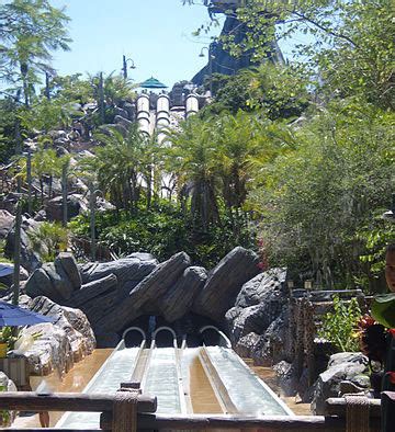 Disney Typhoon Lagoon Water Slides in Orlando