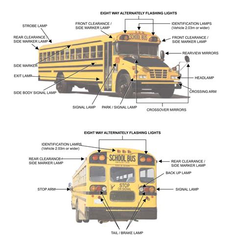 School Bus Safety Artofit