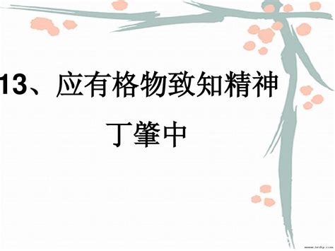 应有格物致知精神 第一课时word文档在线阅读与下载无忧文档