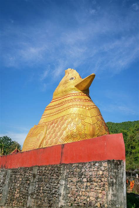 Big Golden Statue Of Chicken At Ko Yin Lay Monastery Kengtung Myanmar