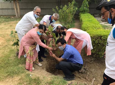 Dwarka Saplings Of Different Species Planted At Cremation Ground In Sec