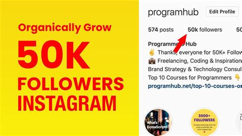 How To Grow Instagram Followers Organically In 2020 My Strategy To Grow 0 To 50k Followers