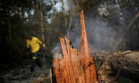 Especial ESG Informação é crucial no combate ao greenwashing