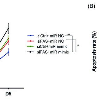 Ox Ldl Induced Fas And Cell Apoptosis In Huvecs A The Cell Morphology