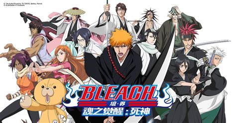 Bleach Guia Completo De Temporadas E Arcos