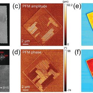 Increasing The Flake Size Of Asgrown SnSe By Preannealing The Mica