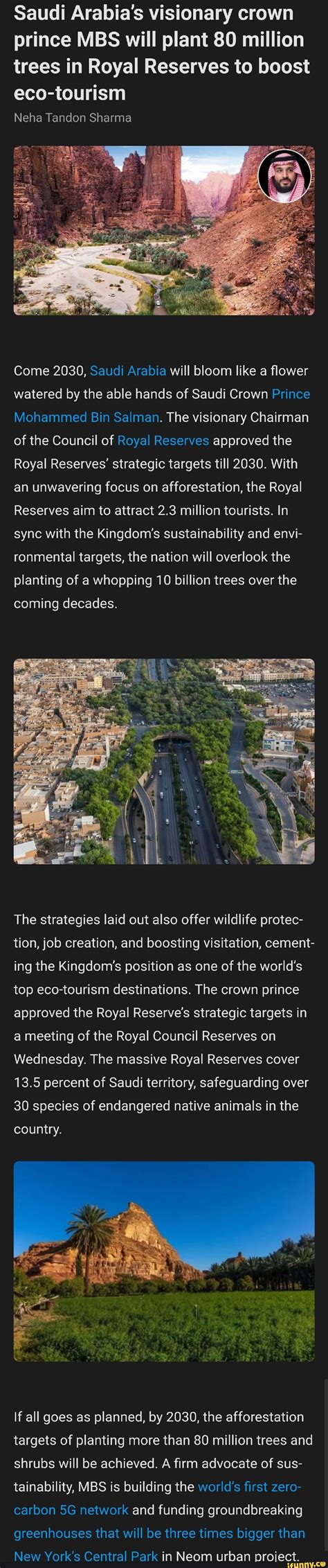 Saudi Arabia S Visionary Crown Prince MBS Will Plant 80 Million Trees