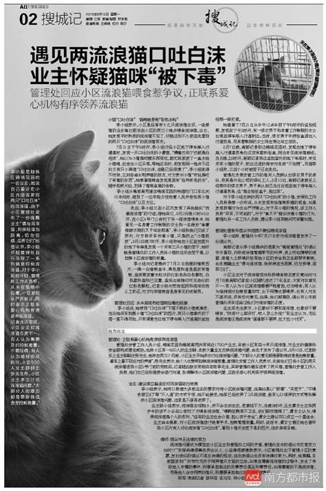 小区内接连遇见两只流浪猫口吐白沫，业主怀疑猫咪“被下毒”小姐