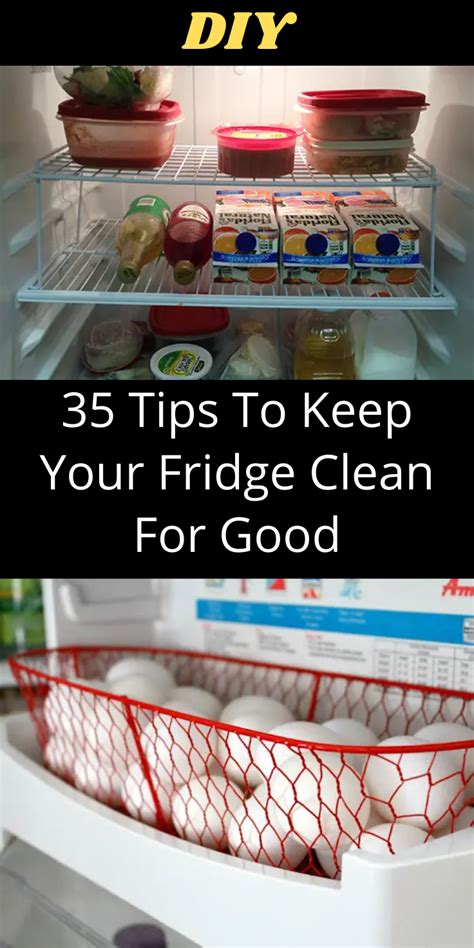 How To Clean Out A Fridge With Rotten Food At Dorabfisher Blog