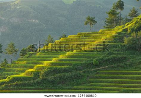 25 Mù Cang Chải Vietnam Images, Stock Photos & Vectors | Shutterstock