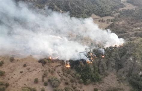 Incendios Forestales Activos En Durango