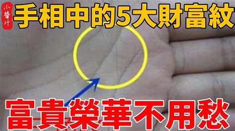 算命先生說：手相中的5大財富紋，手中有此紋者，一生大富大貴，可發大財，富貴榮華不用愁！ Youtube