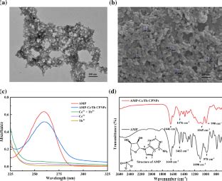 共掺杂Ce3 Tb3 离子的高效荧光配位聚合物纳米粒子用于姜黄素检测 Microchimica Acta X MOL