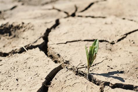 Sequía qué es tipos consecuencias y cómo nos afecta Ambientum