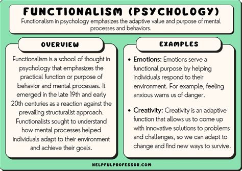 Functionalism In Psychology Definition Examples Criticism