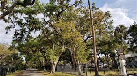 Waterway Guide | An Inside Look: St. Augustine Marine Center