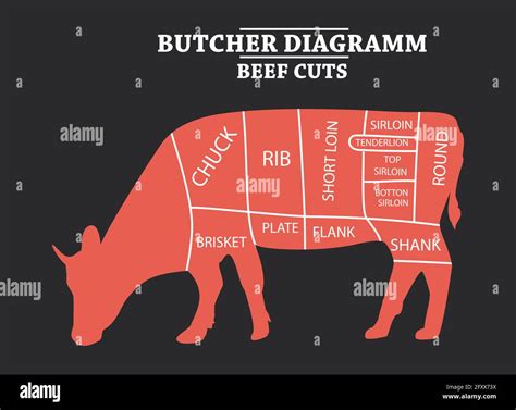 Schneiden Von Rindfleisch Festgelegt Plakat Metzger Diagramm Kuh