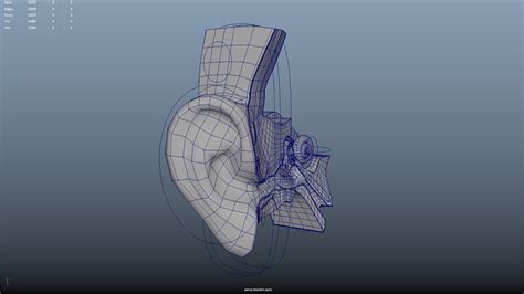 Human Ear 3d Model Turbosquid 2190636