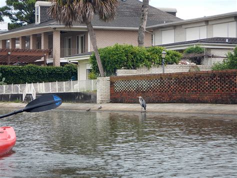 Bayou St. John Kayaking | NOLA On The Road