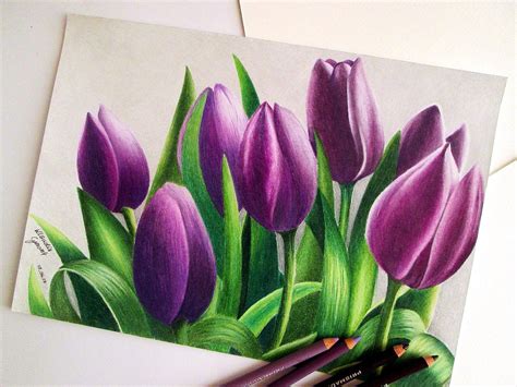 Prismacolor Premier Colored Pencils Drawing By Klaudia Cymorek Color