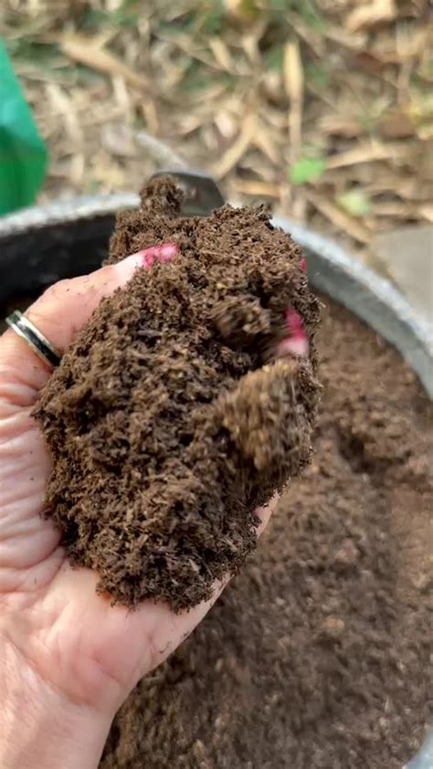 Wholesale Organic Vermicomposting Fertilizer Manure For All Vegetables