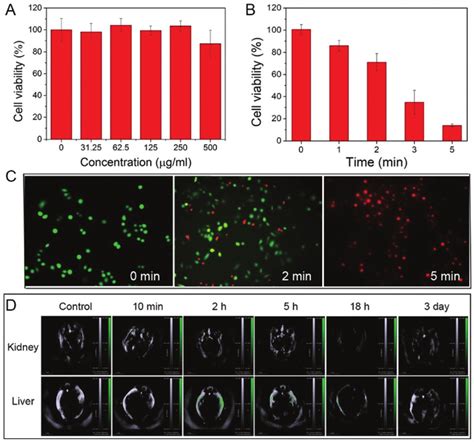 A Cell Viability Of Sgc Cells Incubated With Fe O Msio