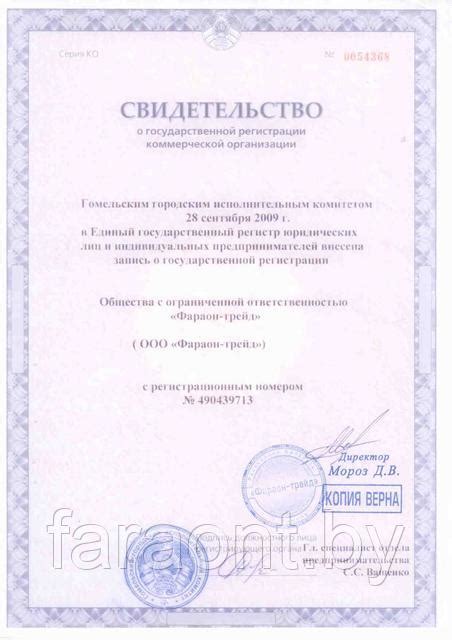 Контактные грили - продажа в Минске, Гомеле, Могилеве, Витебске, Гродно ...