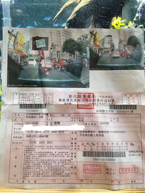 車種、車牌、顏色都不對！ 他收檢舉罰單 大嘆遇到「鳥事」 社會 自由時報電子報