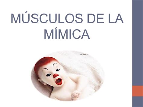 Clase Miologia De Cabeza Faciales Pdf